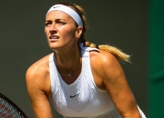 包含老鹰不断突破！，科维托娃连续十场比赛得分超过夺冠气势如虹延续的词条