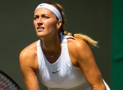 包含老鹰不断突破！，科维托娃连续十场比赛得分超过夺冠气势如虹延续的词条