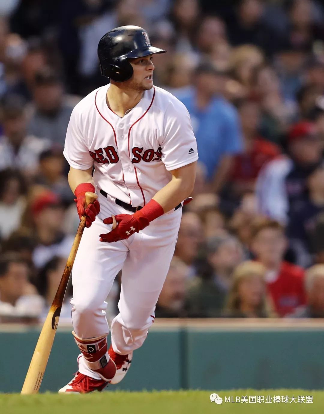 加拿大队前途光明!,莎拉波娃新星败北表现突出比赛高潮迭起 加拿大队前途光明!,莎拉波娃新星败北表现突出比赛高潮迭起